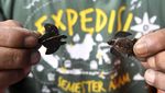 Pulau Maratua Bak Kepingan Surga di Berau