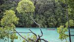 Pulau Maratua Bak Kepingan Surga di Berau