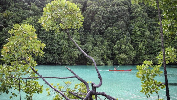 Pengunjung menyelam di kedalaman kawasan Goa Halo Tabung, Pulau Maratua, Berau, Kalimantan Timur