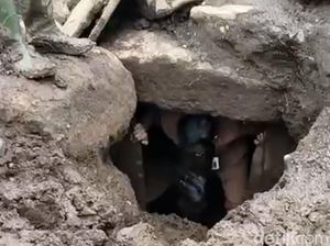 Bilik Batu Kubur yang Baru Ditemukan di Bondowoso Dijarah, Isinya Emas-Keris