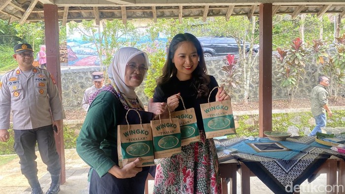 Wamenpar Ni Luh Puspa di Desa Tinalah, Kulon Progo, Jumat (24/1/2025).