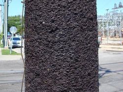 Jejak Perjalanan Waktu pada Benda-benda Sekitar Bikin Melotot