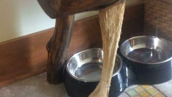 Kucing Telah Menggaruk Kaki Bangku yang Sama Selama Dekade Terakhir Foto: Demilked