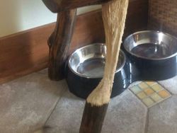 Jejak Perjalanan Waktu pada Benda-benda Sekitar Bikin Melotot