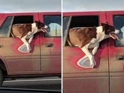 Jejak Perjalanan Waktu pada Benda-benda Sekitar Bikin Melotot