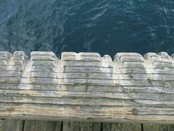 Jejak Perjalanan Waktu pada Benda-benda Sekitar Bikin Melotot