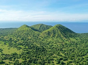 Cegah Kebakaran Hutan, Pendakian di Gunung Tambora Ditutup Sementara