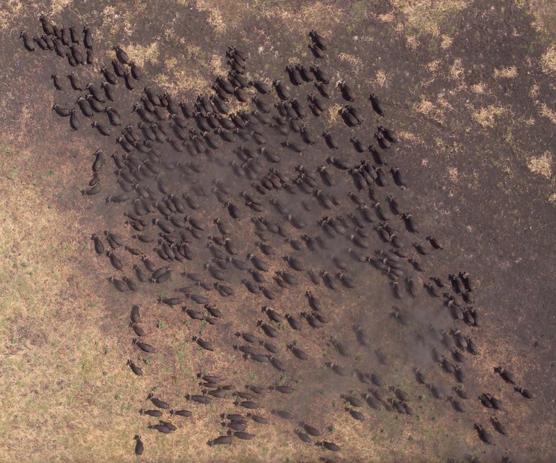 Keanehan Google Earth