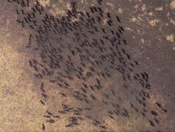 Hal Aneh dan Keren di Google Earth, Siap-siap Tercengang