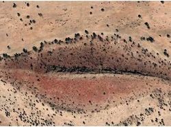 Hal Aneh dan Keren di Google Earth, Siap-siap Tercengang