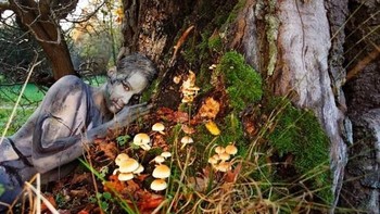 Foto: Jorg Mirkwood