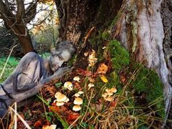 Kumpulan Foto Model Tanpa Busana yang Tak Kasatmata