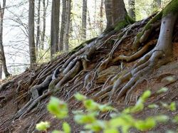 Kumpulan Foto Model Tanpa Busana yang Tak Kasatmata