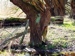 Kumpulan Foto Model Tanpa Busana yang Tak Kasatmata