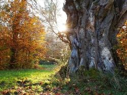Kumpulan Foto Model Tanpa Busana yang Tak Kasatmata
