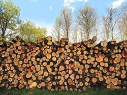 Kumpulan Foto Model Tanpa Busana yang Tak Kasatmata