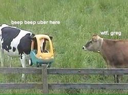 Foto Kumpulan Inovasi Kocak Bikin Gagal Paham