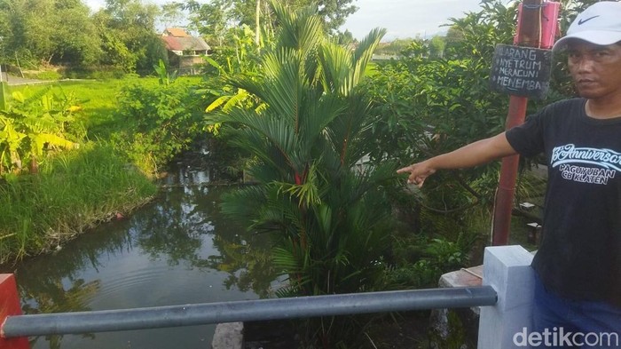 Lokasi tempat mancing tempat anak tenggelam Desa Jetis, Klaten Selatan, Sabtu (25/1/2025).