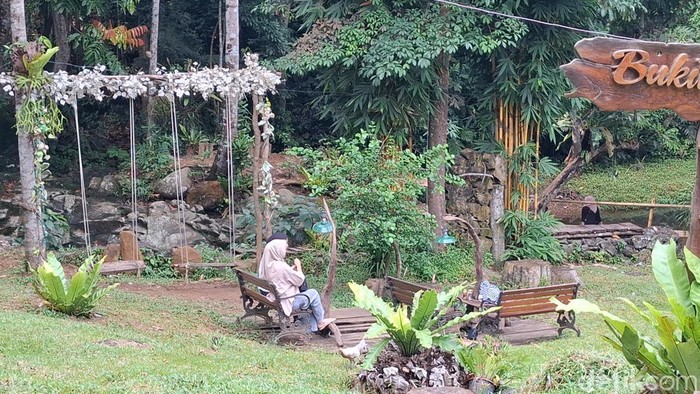 Lokasi wisata alam Bukit Cogong di Musi Rawas.