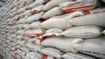 Menko Zulhas Tinjau Gudang Beras-Salurkan Bantuan di Pekalongan Menko Zulhas Tinjau Gudang Beras-Salurkan Bantuan di Pekalongan