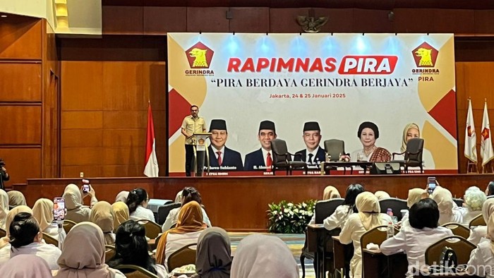 Menteri UMKM Maman Abdurrahman mengatakan pemerintah akan memberikan modal kepada UMKM yang terlibat dalam program Makan Bergizi Gratis. (Anggi M/detikcom)