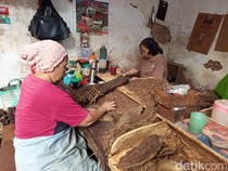 Potret Pabrik Cerutu Temanggung, Seabad Eksis Meski Peminat Makin Terkikis