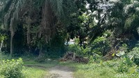Kondisi jalan menuju perumahan peninggalan zaman Belanda yang tak beraspal. (Nizar Aldi/detikcom)