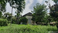 Di sekitar rumah banyak tumbuh rumput maupun pohon yang menambah kesan horor. (Nizar Aldi/detikcom)