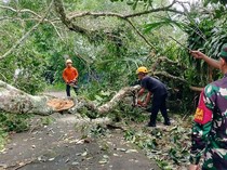 Karangasem Dilanda 38 Bencana Selama Sepekan, Kerugian Rp 415 Juta
