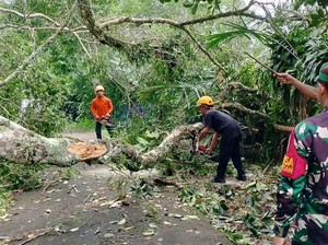 Hujan dan Angin Kencang Picu Seratusan Bencana di Karangasem dan Tabanan