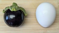 Terong milik pengguna Reddit gagal bertumbuh besar. Saat dibandingkan dengan telur ayam sekalipun, ukurannya hampir kalah besar. Foto: Bored Panda