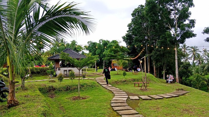 Suasana X-Teros Camp and Coffee Nature di Desa Sapit, Kecamatan Suela, Lombok Timur, NTB, Sabtu (25/01/2025). (Sanusi Ardi W/detikBali)
