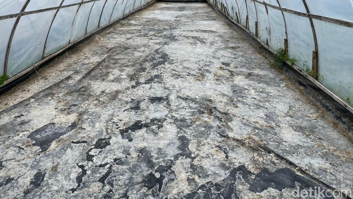 Tambak garam geomembran di Pangandaran.