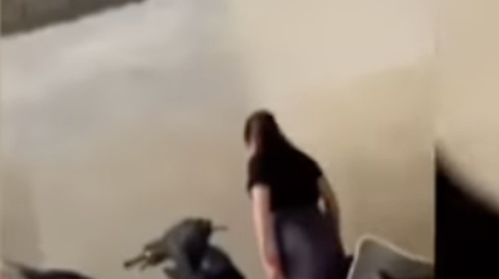 Tangkapan layar wanita di Mamuju Tengah ngamuk di rumah pacar usai dilamar pria lain. Dokumen Istimewa