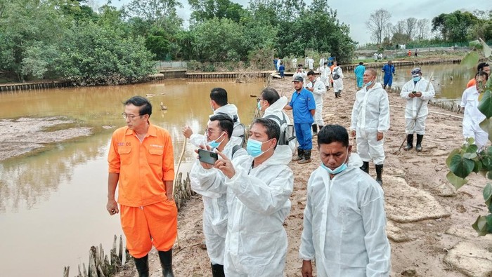 -Tim terpadu penanganan buaya dan masyarakat saat menghitung jumlah buaya yang lepas dari penangkaran Pulau Bulan pada Kamis (25/1).(Dok Lantamal IV).