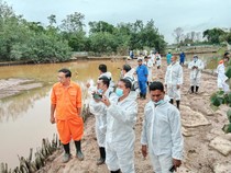 3 Buaya yang Lepas dari Penangkaran di Batam Masih Berkeliaran