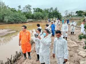 3 Buaya yang Lepas dari Penangkaran di Batam Masih Berkeliaran