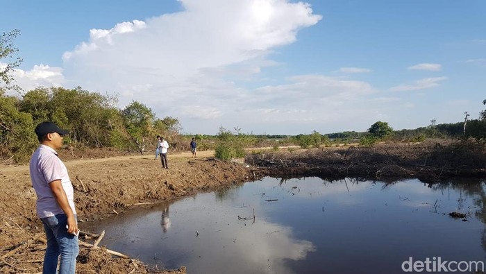 Tim Unit Tipidter Polres Maros melakukan penyidikan di lokasi pembabatan mangrove seluas 6 hektare.