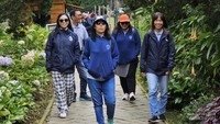Pedestrian jalan masuk candi.