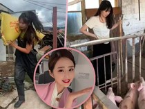 Cerita Pramugari Banting Setir Jadi Peternak Babi Berpenghasilan Rp 446 Juta