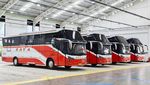 Potret Bus Terbaru PO Raya yang Setia Pakai Livery Klasik dan Kursi Pesawat