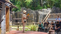 Pertunjukan di lokasi Lilas Magical World Enchanting Valley Puncak, Bogor.