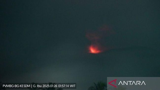 Erupsi Gunung Ibu disertai api pijar berwarnah merah di Halmahera Barat, Maluku Utara, Minggu (26/1/2025) dini hari pukul 01.57 WIT. ANTARA/HO-Badan Geologi