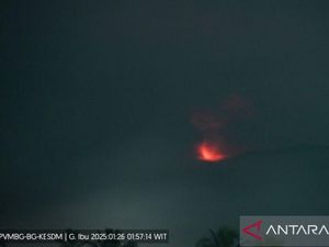 Gunung Ibu di Malut Erupsi, Muntahkan Abu Vulkanik Setinggi 500 Meter