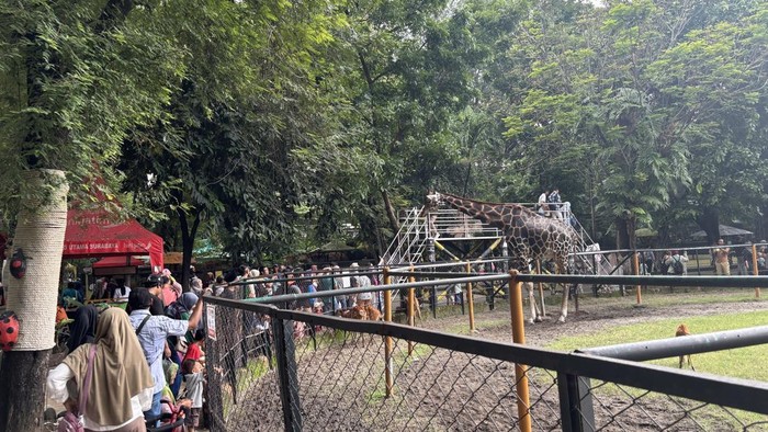 Long weekend, KBS dipadati pengunjung