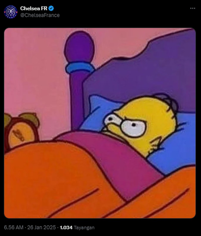 Manchester City berhasil mengalahkan Chelsea dengan skor akhir 3-1. Dalam hal ini kiper Chelsea Robert Sánchez, disamakan dengan Onana. Berikut meme-nya.