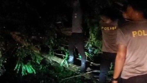 Pohon tumbang akibat longsor menutupi Jalan Trans Flores di Manggarai Timur, NTT, Minggu (26/1/2025) malam. (Istimewa)