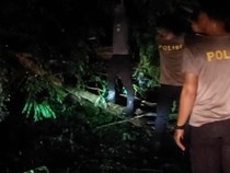 Pohon Tumbang Akibat Longsor Tutupi Jalan Trans Flores, Lalin Lumpuh 2 Jam