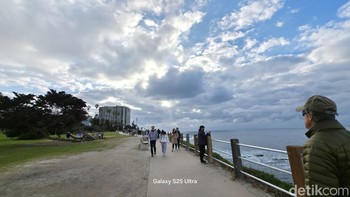 Sepanjang La Jolla, taman yang luas terabadikan dengan baik. Foto: Aisyah Kamaliah/detikINET