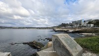Samsung S25 Ultra 50 MP Wide-Angle